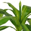 Artificial Dracaena Plant with Pot 39.4" Green