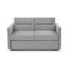 Loveseats Sofa Bed with Pull-out Bed, Adjsutable Back and Two Arm Pocket,Grey