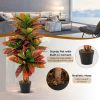 Artificial Plants Tree with Colorful Variegated Leaves and Pot